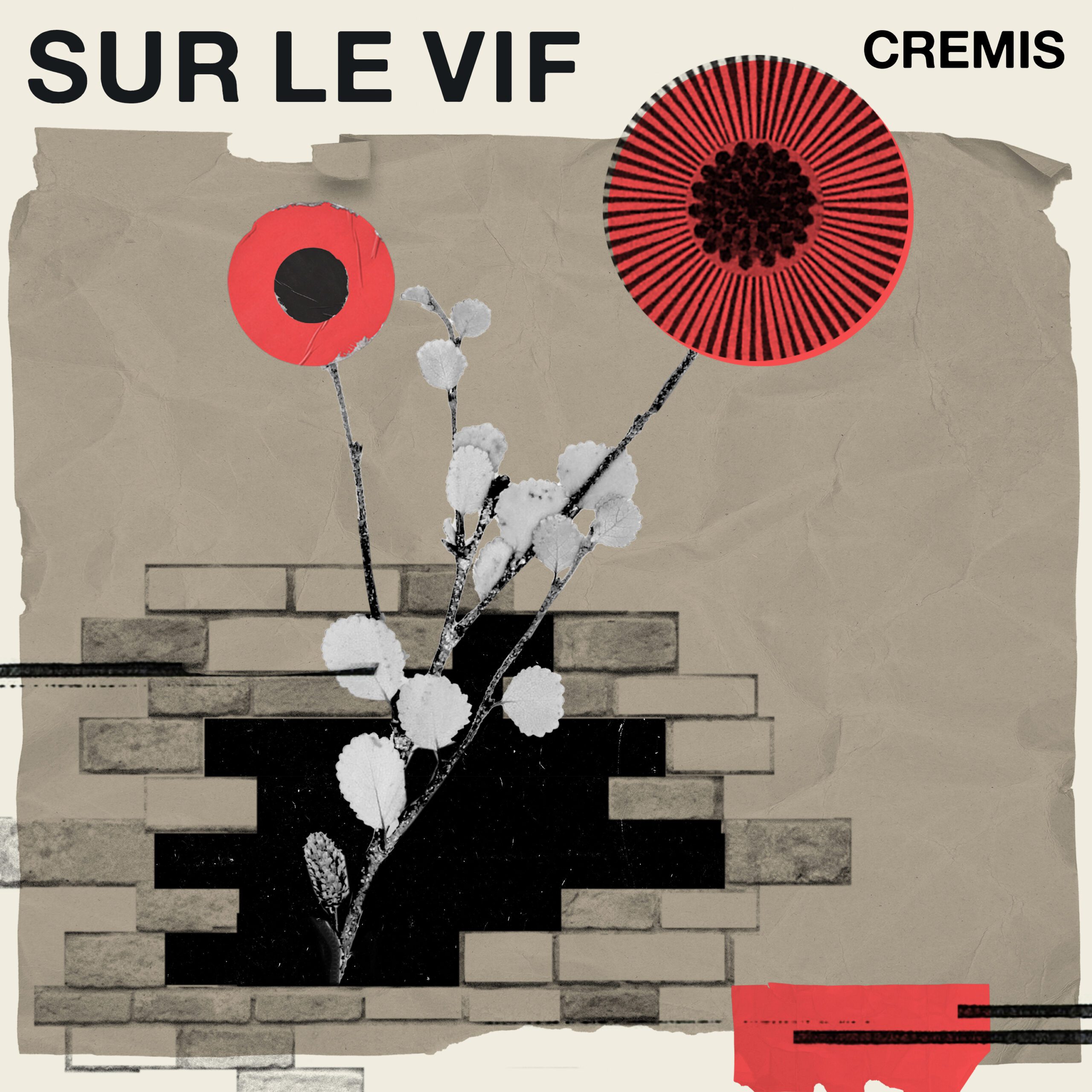 CREMIS-Illus-Sur-Le-Vif-Cover